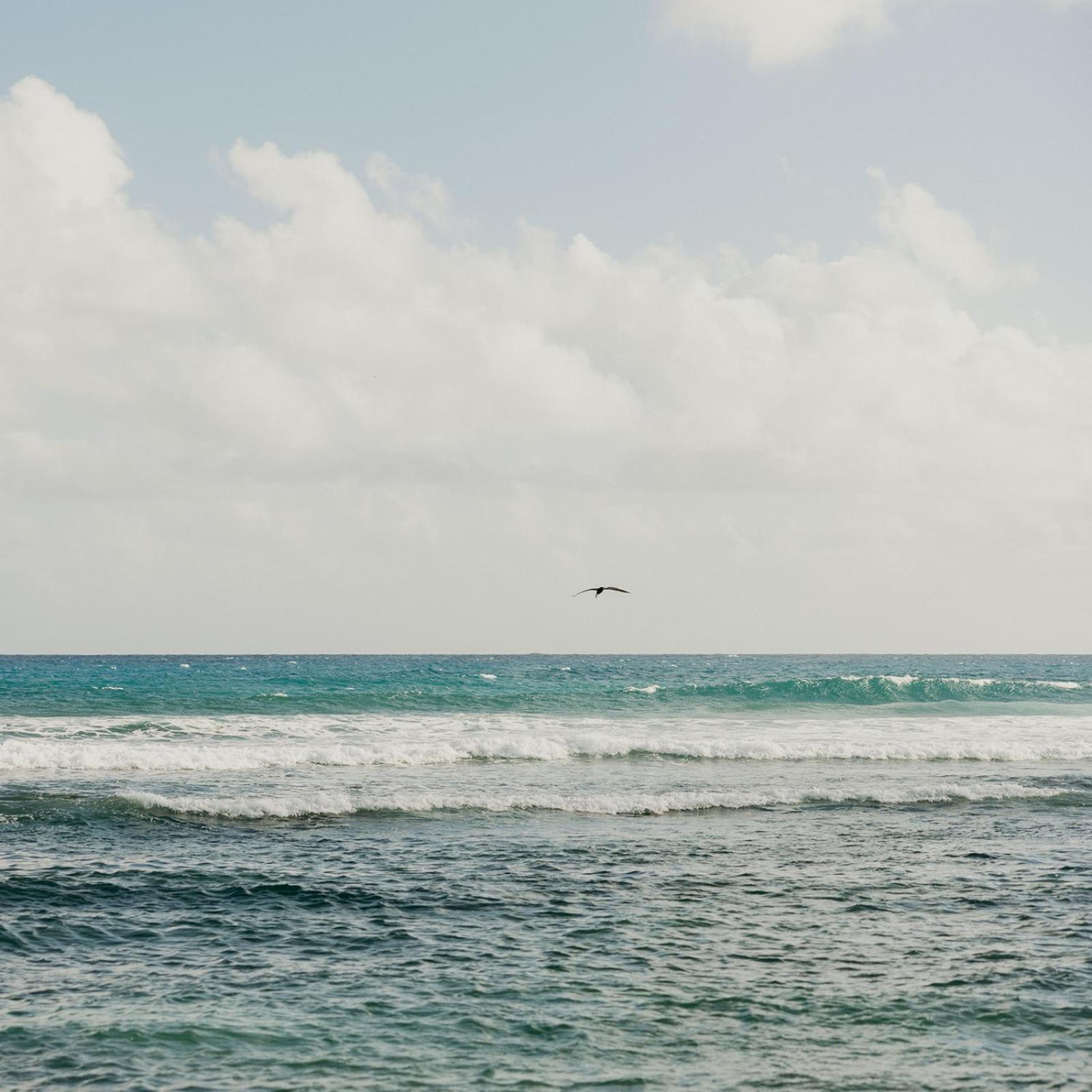 Grapetree Bay Hotel And Villas Christiansted Luaran gambar